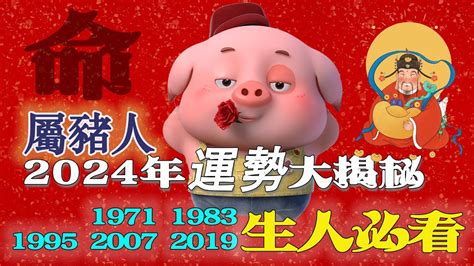 1995屬豬|1995年出生的屬豬人一生的命運